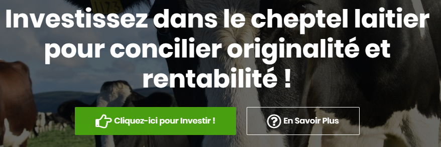 Cheptel-finance.fr 
