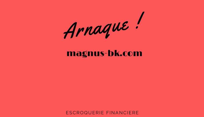 magnus-bk.com