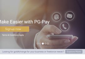 pg-pay.com