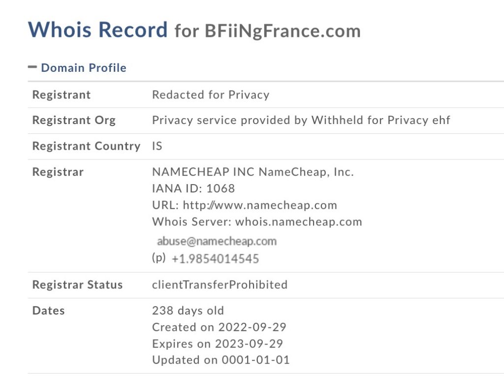 bfiingfrance.com