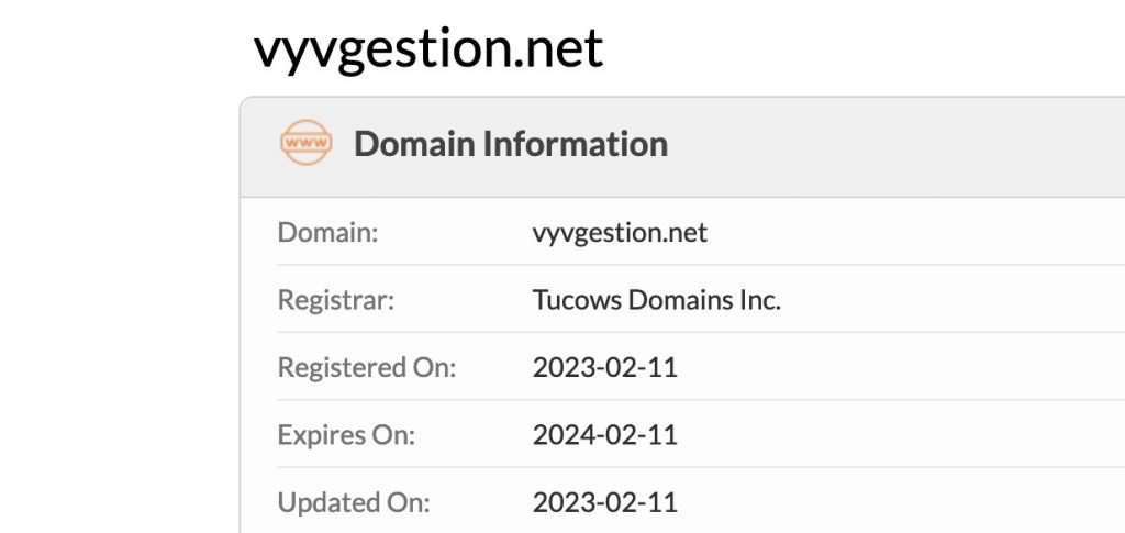 vyvgestion.net